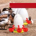 Máng Uống Tự Động Cho Gà Máng Uống Nước Tự Động Cho Chim Cút Máng Nước Cho Gà. 