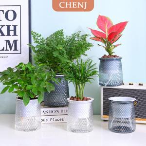 [COD] CHENJ กระถางต้นไม้พลาสติกใสรดน้ำเองสองชั้นแจกันดอกไม้อัตโนมัติกระถางต้นไม้สำหรับตกแต่งกระถางดอกไม้ไฮโดรโพนิก