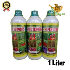 Aladdin porno tomosha