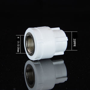 PPR Fittings Adapter/ Elbow/Tee 1/2(Male/Female) 5pcs