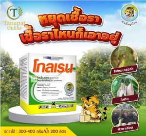 โกลเรน ขนาด100กรัม สารไดเมโทมอร์ฟ 12% + ไพราโคลสโตรบิน 6.7% WG (กลุ่ม 40 + 11) สูตรเกล็ด ใช้ง่ายละลายน้ำดี สองพลังบวก หยุดทุกเชื้อรา ไฟทอปเธอรา ลูกเน่า ผลเน่า เชื้อราไหนก็เอาอยู่