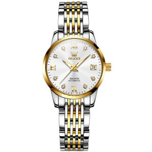 OLEVS 6673 Women Mechanical Fashion Watch Gift Round-dial Stainless Steel Watchband Wristwatch Calendar Luminous