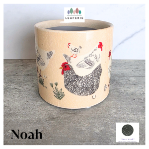 The Leaferie Noah plant pots Ceramic flowerpot flowerpots flower planter planters