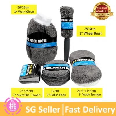 Car Wash Cleaning / Detailing Kit / Tools (9 piece set includes brushsponge microfiber cloth towels polish pads)