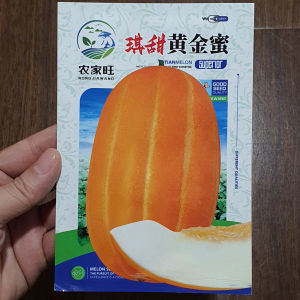 Hạt Giống Dưa Lê Đài Loan Vỏ Vàng Siêu Ngọt Dễ Trồng Năng Suất Cao -shop Yến Liên Beauty