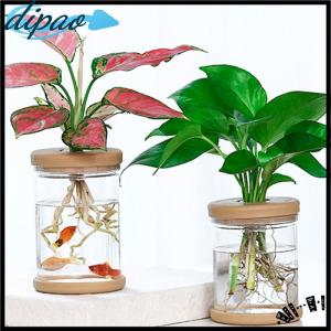 【dipao】 Lazy Transparent Flowerpot Hydroponic Automatic Water Absorption Flowerpot