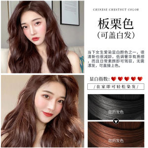 Pure Vegetal Bubble Hair Dye Cream Plant Essence Bubble Hair Dye Shampoo No Stimulating Hair Dye Gentle Bubble Hair Coloring Cream