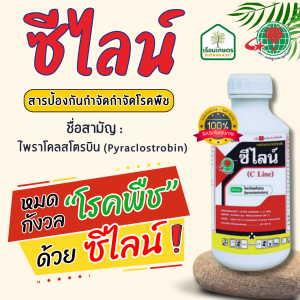 ซีไลน์ (ไพราโคลสโตรบิน) สารป้องกันกำจัดโรคใบไหม้แผลใหญ่ โรคแอนแทรคโนส โรคกุ้งแห้งพริก ขนาด 1 ลิตร