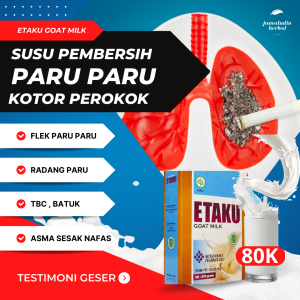 Susu Kambing Etawa Untuk Pembersih Paru Paru Perokok - Radang Paru paru - Flek Paru paru TBC