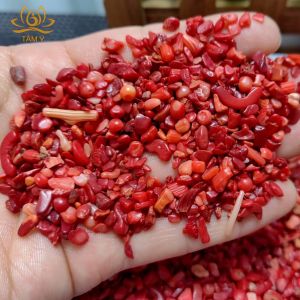 San hô đỏ vụn kích thước nhỏ