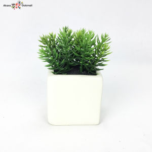 กระถางต้นไม้ปลอมขนาดเล็กตั้งโต๊ะ ต้นไม้ปลอมจิ๋วพร้อมกระถาง