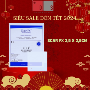 Miếng Dán Ngăn Ngừa Và Ép Sẹo Lồi / Phì Đại Scar FX 25cm x 10cm của Rejuvaskin