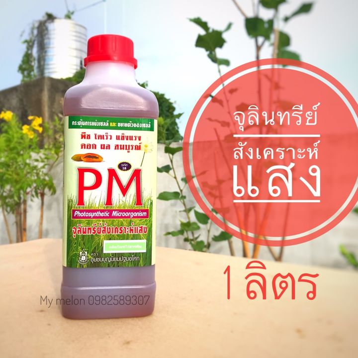 จุลินทรีย์สังเคราะห์แสง สำหรับการเจริญเติบโตและดินที่ดี