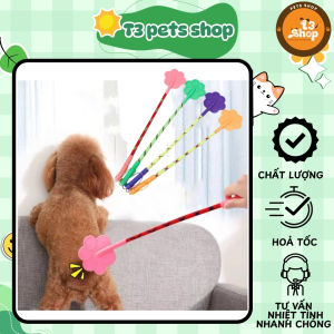 Gậy tét mông chó - huấn luyện cho chó - T3 PETS SHOP