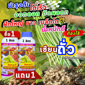 เซียนถั่ว โปรซื้อ 1 ลิตร แถม 1 ลิตร  บำรุงต้น ช่วยให้โตเร็ว ออกดอก ติดผลดก ฝักใหญ่ ยาว เมล็ดโต แก้ใบเหลือง ต้นไม่โต ราคาพิเศษเฉพาะเดือนนี้เท่านั้น 770 บาท !!