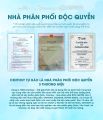 CENTOSY - Giày Trượt Patin Trẻ Em Giá Rẻ Dolphin Thương Hiệu Jocy Với 3 Màu Cơ Bản - Có Đèn Bánh, Form Chắc Chắn, Phanh Chân An Toàn. 