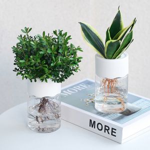 Hydroponic Pot Water Planting Vase Water Plant Pot Indoor Self Watering Flower Vase Transparent Decor Pot