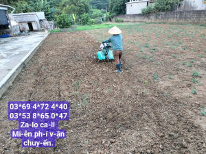 Máy xới đất chạy đấu đầu 4 thì 65hp siêu khoẻ