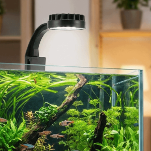 TEWUB High Brightness Aquarium Clip Lamp USB Charging Energy Efficient LED Fish Tank Light Decorative Mini Clip Light Fish Clip Light Aquarium Decoration