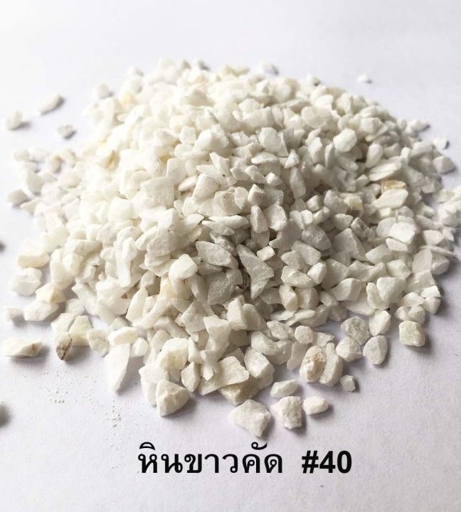 10 อันดับหินเกล็ดขาวตกแต่งสวนยอดนิยมประจำปี 2025: เนรมิตสวนสวยสไตล์มินิมอล