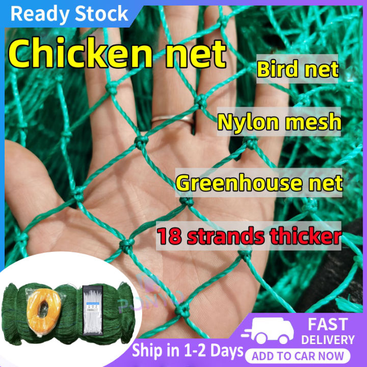 50M/100M Chicken Net Range Net With Rope Fence Green For Poultry Outdoor Fishing Net Lambat