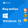 Genuine Permanent Copyright Key Pro Key, 11 Home, Windows 10 Home - Shop Premium Sky. 