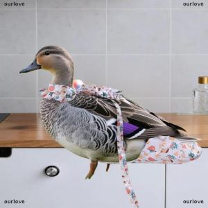 [COD] ourlove เสื้อกั๊กลายการ์ตูนเป็ดไก่น่ารักๆ1 2ชิ้นเข็มขัดจูงไก่ชุดเชือกจูงสัตว์เลี้ยงสวมใส่สบาย