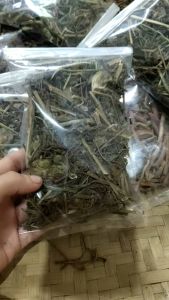 Ciplukan Kering-Teh Ciplukan Iris Murah Herbs Di4betes