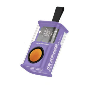 ลำโพงไร้สายบลูทูธแบบพกพา5W โปร่งใส Bluetooth Sound Box Rhythm Light Effect ซับวูฟเฟอร์ TWS สเตอริโอเครื่องเล่นเพลง BY BOSSSTORE