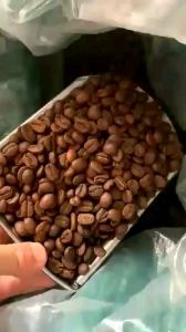Cafe Arabica Cầu Đất gói 500g nguyên chất