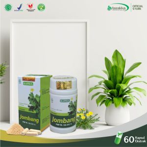 Kapsul Jombang Obat Kesehatan Fungsi Liver dan Pankreas Alami Herbal