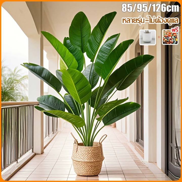 🔥หลายรุ่น!!!🔥 ต้นไม้ปลอม ต้นไม้ปลอมใหญ่ 65/85/95/125cm ฟรีกระถางดอก ...
