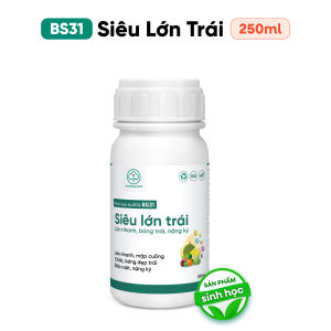 Phân Bón Lớn Trái BS31 250ml 500ml - Nuôi Trái Chắc Khoẻ To Bóng Nặng Kí - Bác Sĩ Cây Xanh