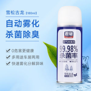 🔥Ready Stock🔥Essential Oil Infused Car & Home Air Freshener Spray - Floral/Mint Scent
