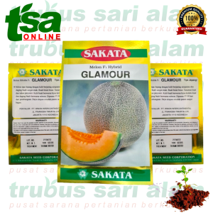 GLAMOUR F1 isi 100 biji - Benih bibit buah melon hibrida sultan tingkat kemanisan lebih dari 13 brix