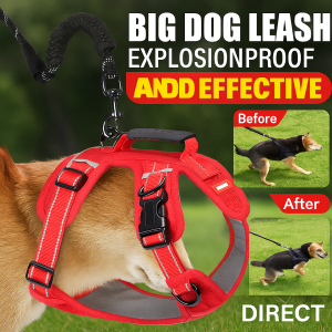 Explosion Proof Pet Harness With Adjustable Leash For Dogs Of All Ages