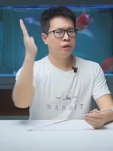 【Ship in 24H】READYSTOCK]Premium quality Betta Fish Scoop cyrstal shrimp net round/squareAquarium fish net three-dimensional fish net stainless steel fish net