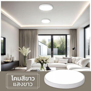 โคมไฟเพดาน โคมซาลาเปา LED 25W แสงขาว6500K 1200LUMAN ประหยัดพลังงาน ไฟสว่าง รุ่นใหม่