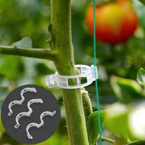 Bộ 100 kẹp cây con treo / kẹp nhánh ràng buộc / kẹp dây leo treo / kẹp dây leo hỗ trợ / kẹp cố định dây leo-NIEVE