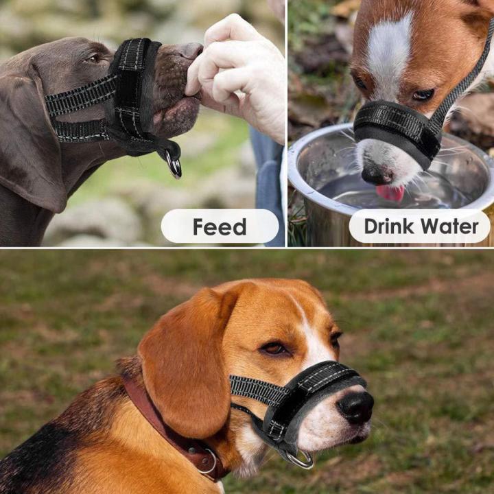Pet Mask Mouth Cage AntiBiting Mouth Guard Big Dog Comfort Mouth Guard Neck Lazada PH
