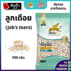 ลูกเดือย ตราเสือบิน คัดพิเศษ เกรด A ธัญพืช ลูกเดือยดิบ (Jobs tears) - Flying Tiger เสือบิน