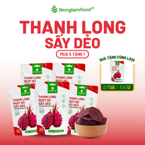 [5 Túi tặng 1] Combo 5 Túi Thanh Long Ruột Đỏ Sấy Dẻo Nonglamfood Hàng Loại 1 Chuẩn Xuất Khẩu Túi 100g