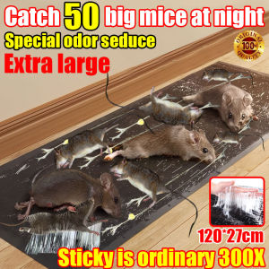 120*27cm mouse trap for big rats glue board heavy duty Special smell lure stickiness Its a normal 300x Waterproof and moisture-proof sticky mouse trap rat killer