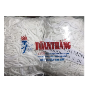 Lưới khung thành bóng đá lưới gôn sân 5 người size 3m x 2m hiệu Toàn Thắng