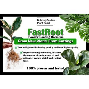 FastRoot Powder Rooting Hormone for Cutting & Air Layering FastRoot1 Dry Powder Rooting Hormone: Houseplant and Succulent Propagation for Rooting House Foliage Tropical and Hardy Ornamental Plants