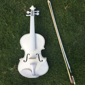 Violin Wood ไวโอลิน ขนาด 4/4 พร้อมอุปกรณ์เสริม สำหรับผู้เริ่มต้นเล่นทุกวัย ไวโอลิน 4/4