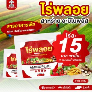 ไร่พลอย ไร่ละ 15 บาท สาหร่ายอะมิโนพลัส แบบซอง กรดอะมิโนเร่งโต เสริมสร้างความแข็งแรง เร่งการเจริญเติบโต เพิ่มผลผลิต