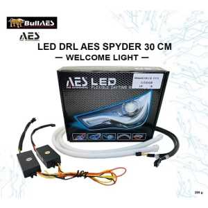 DRL AES Softled 30 cm Welcome Light Sequential Signal Light SPYDER