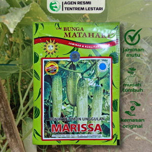 Benih Timun Lalap MARISSA 50 Gram Cap Bunga Matahari Lebat Unggul Tahan Penyakit