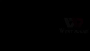 WEST BIKING MTB Comfortable Bike Saddle Shock Absorber Versatile Saddle Road Bike Commuter Bike Seat Professional Bicycle Parts